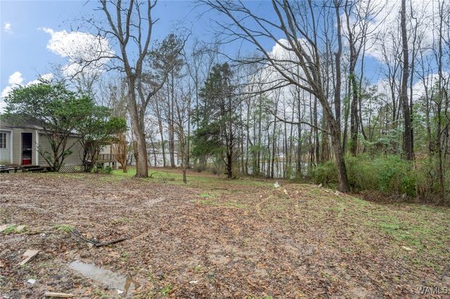 14141 Boswell Rd, Coker, AL 35452