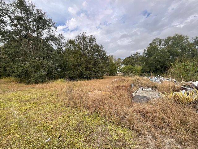 1701 SANFORD STREET, Lake Wales, FL 33859