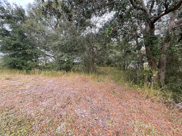 1701 SANFORD STREET, Lake Wales, FL 33859