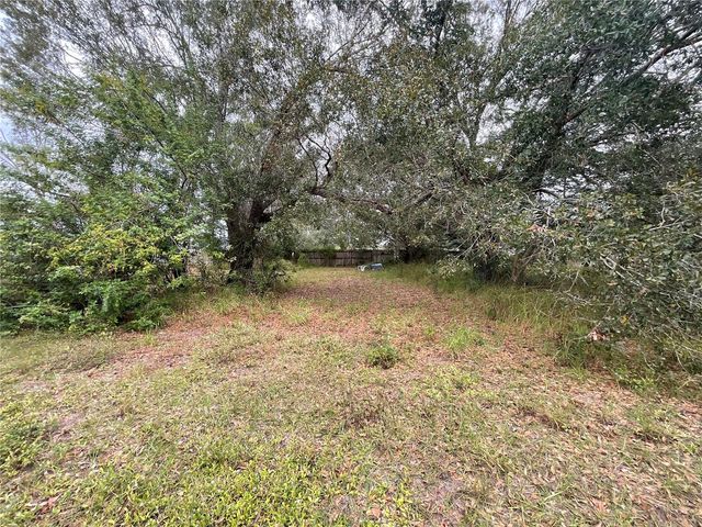 1701 SANFORD STREET, Lake Wales, FL 33859