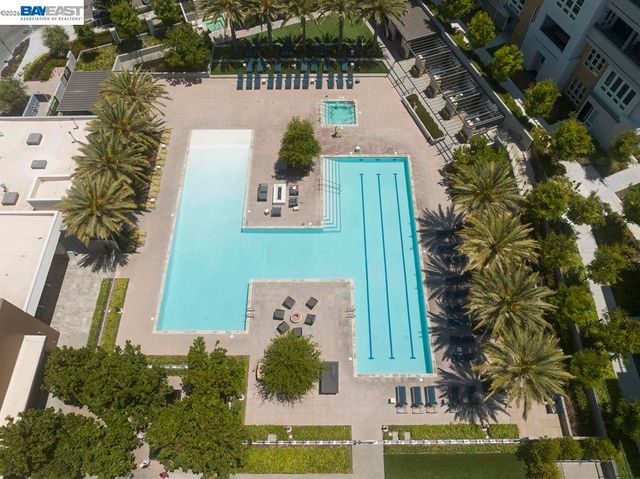 45128 Warm Springs Blvd 509, Fremont, CA 94539