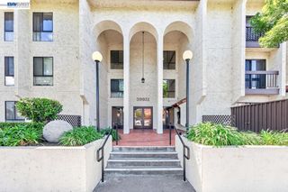 39931 Cedar Blvd 309, Newark, CA 94560