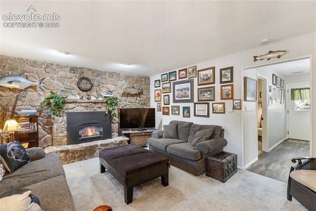 702 Sunnywood Loop, Woodland Park, CO 80863
