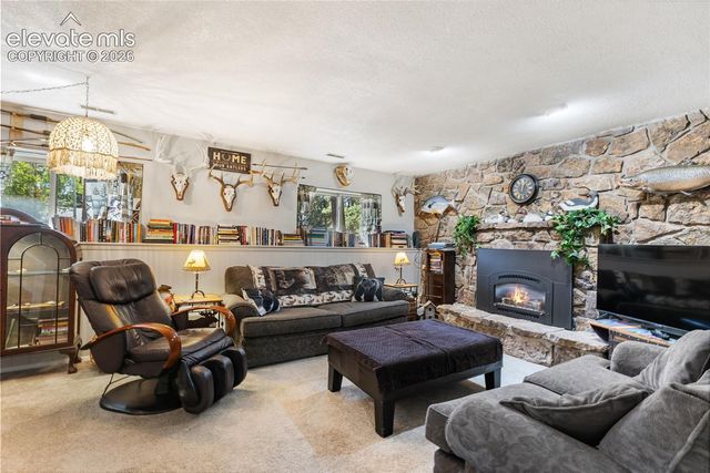 702 Sunnywood Loop, Woodland Park, CO 80863