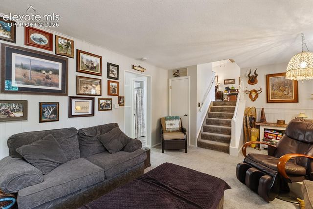 702 Sunnywood Loop, Woodland Park, CO 80863