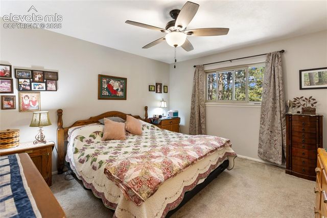 702 Sunnywood Loop, Woodland Park, CO 80863
