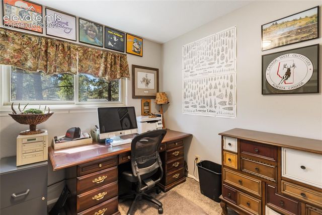 702 Sunnywood Loop, Woodland Park, CO 80863