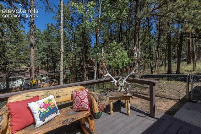 702 Sunnywood Loop, Woodland Park, CO 80863
