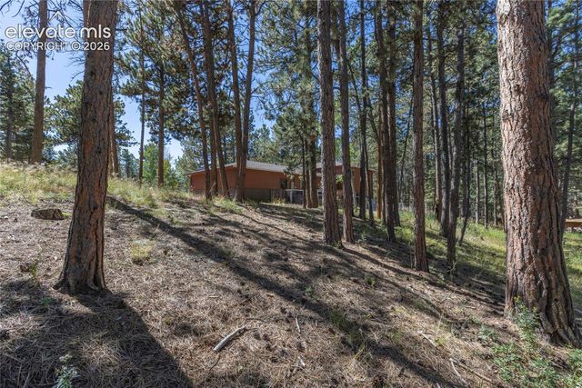702 Sunnywood Loop, Woodland Park, CO 80863