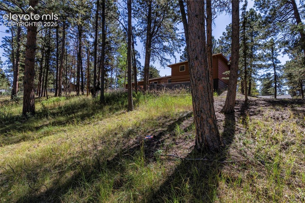 702 Sunnywood Loop, Woodland Park, CO 80863 — photo 5