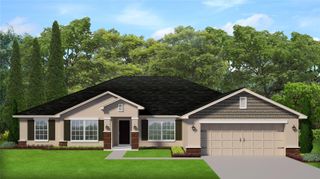 16602 NE 23RD AVENUE, Summerfield, FL 34491