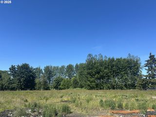 91171 OLD MILL TOWN Rd, Clatskanie, OR 97016