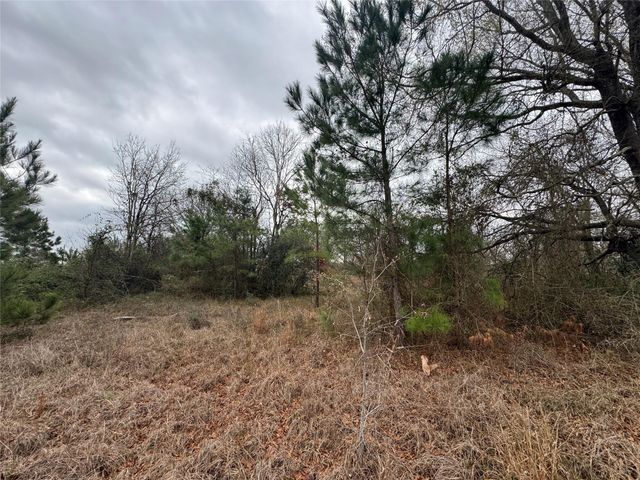 TBD Fm 980 S, Point Blank, TX 77364