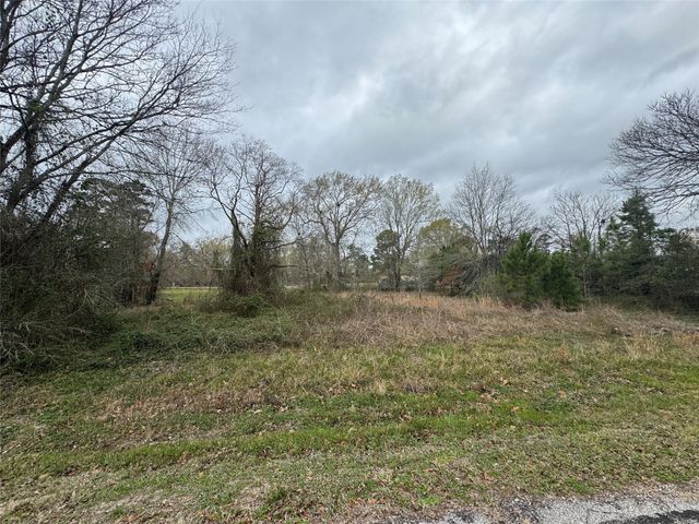 TBD Fm 980 S, Point Blank, TX 77364