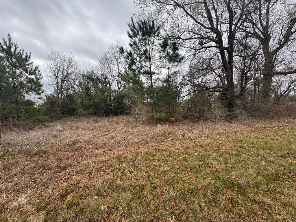 TBD Fm 980 S, Point Blank, TX 77364
