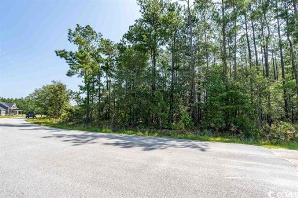 1525 Wilderness Ln., Loris, SC 29569 — exterior