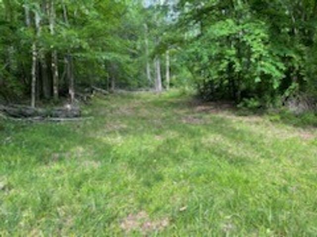 5450 Highway 49, W, Vanleer, TN 37181