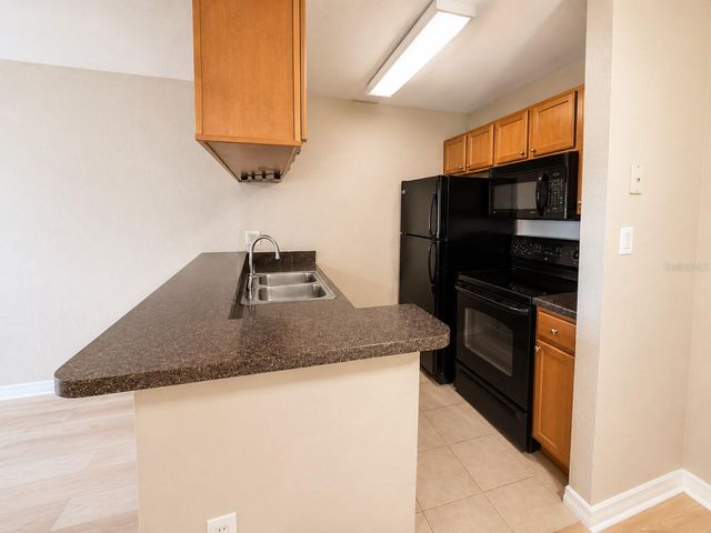 203 LAKE PARSONS GREEN 108, Brandon, FL 33511