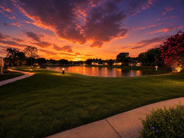 203 LAKE PARSONS GREEN 108, Brandon, FL 33511