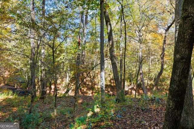 606 Morgan Road, Juliette, GA 31046