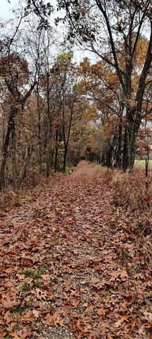 8253 Jackson School Road, Bloomsdale, MO 63627