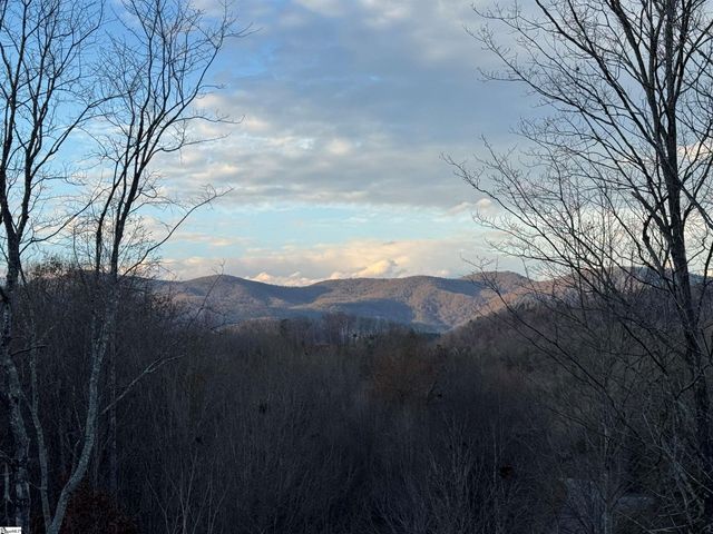 2 Cherokee Rose Trail, Marietta, SC 29661