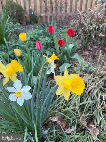 1611 NOYES DR, Silver Spring, MD 20910