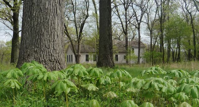 26376 N FARWELL Road, Mettawa, IL 60045