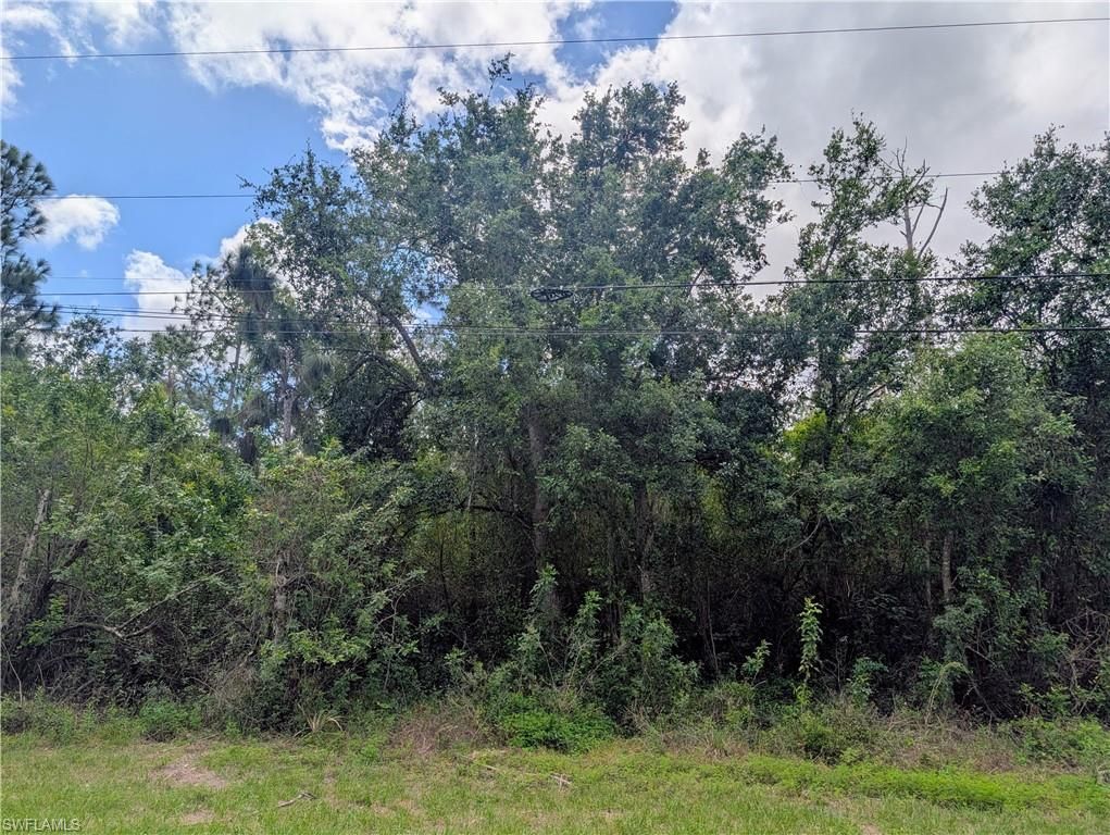 2805 53rd ST SW, LEHIGH ACRES, FL 33976 — photo 5