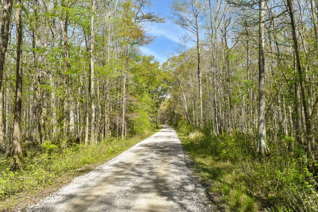 4855 Retriever Road, Wadmalaw Island, SC 29487