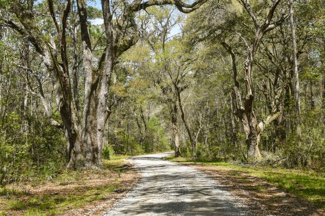 4855 Retriever Road, Wadmalaw Island, SC 29487