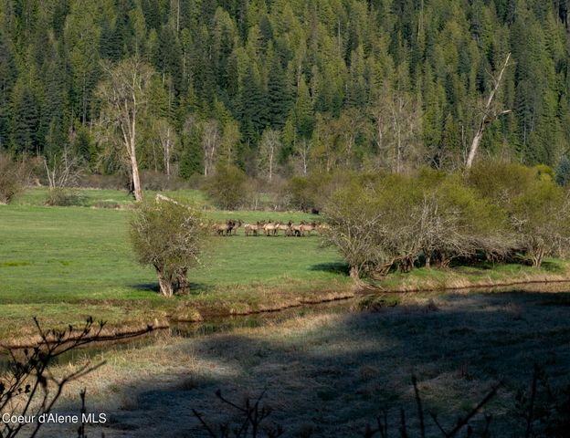 NKA 262 Ac North Side Road, Calder, ID 83808