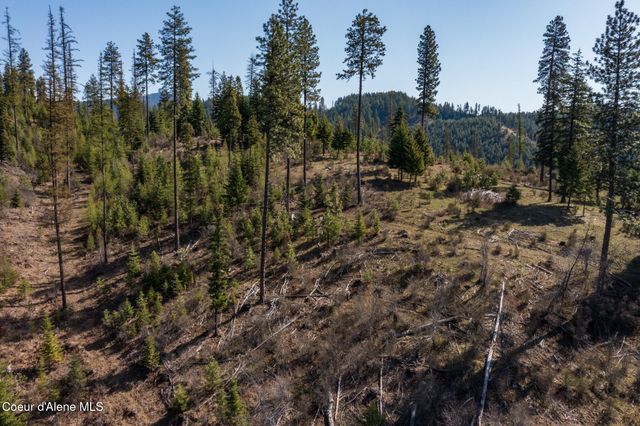 NKA 262 Ac North Side Road, Calder, ID 83808