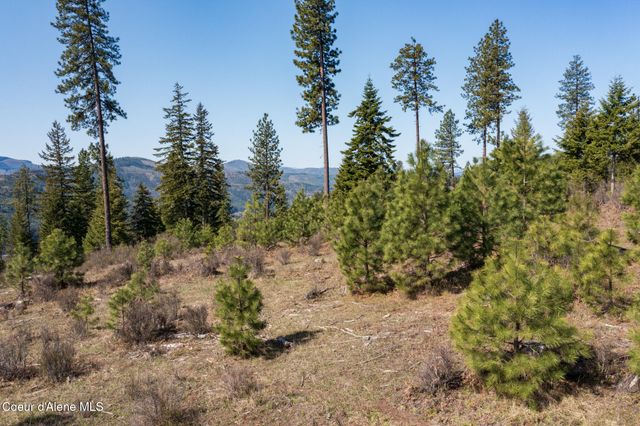 NKA 262 Ac North Side Road, Calder, ID 83808