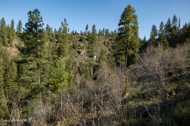 NKA 262 Ac North Side Road, Calder, ID 83808