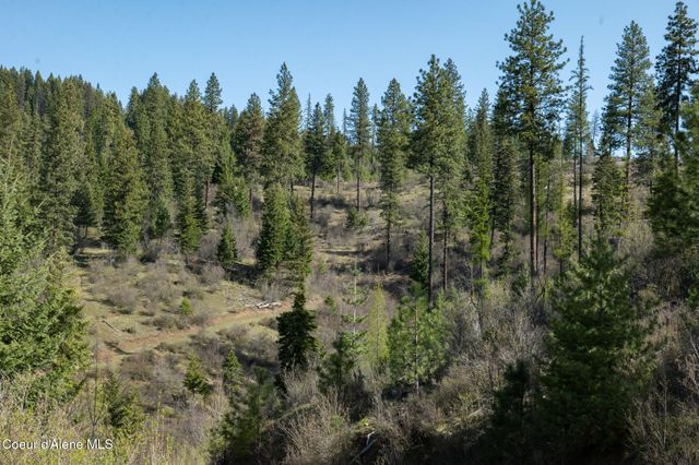 NKA 262 Ac North Side Road, Calder, ID 83808