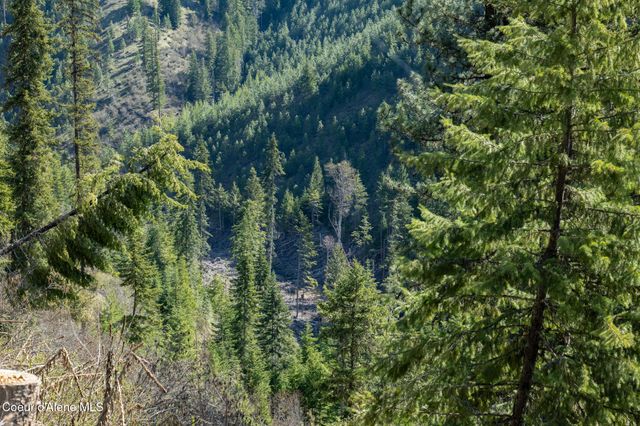 NKA 262 Ac North Side Road, Calder, ID 83808