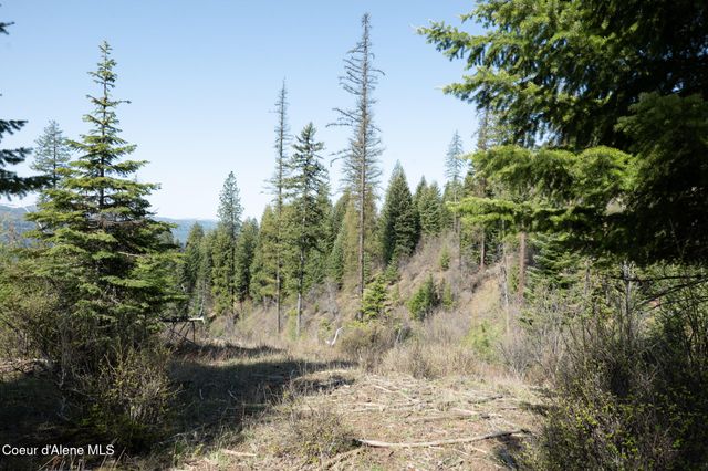 NKA 262 Ac North Side Road, Calder, ID 83808