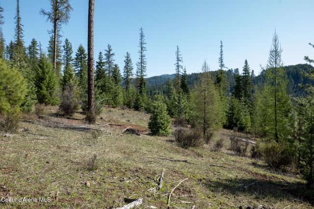 NKA 262 Ac North Side Road, Calder, ID 83808
