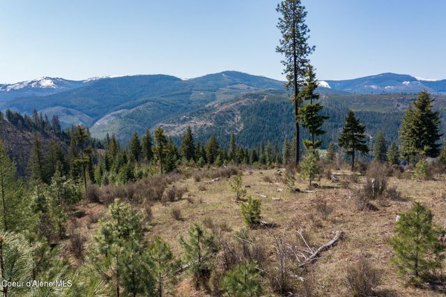 NKA 262 Ac North Side Road, Calder, ID 83808