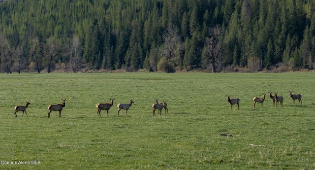 NKA 262 Ac North Side Road, Calder, ID 83808