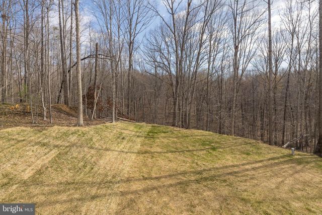 11117 EGGBORNSVILLE RD, Rixeyville, VA 22737