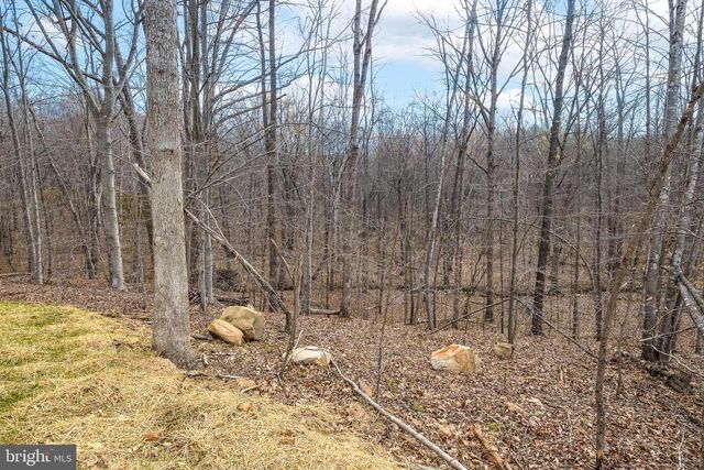 11117 EGGBORNSVILLE RD, Rixeyville, VA 22737