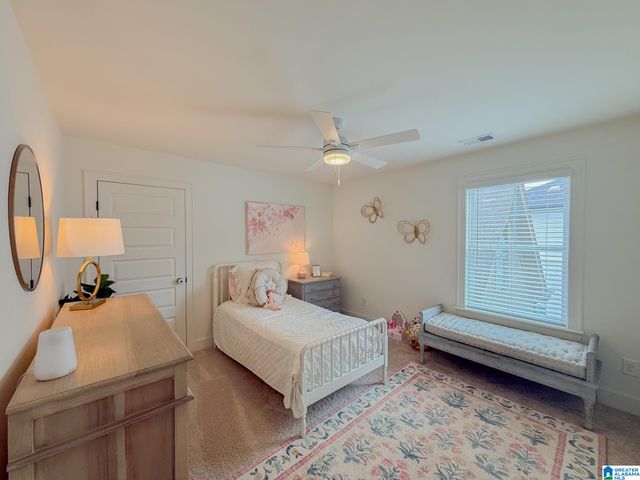 2461 MURPHY PASS, Hoover, AL 35244