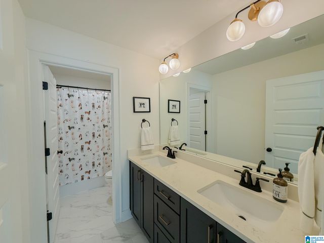 2461 MURPHY PASS, Hoover, AL 35244