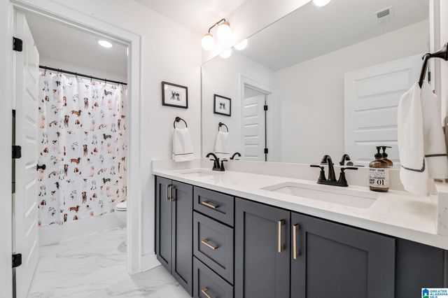 2461 MURPHY PASS, Hoover, AL 35244