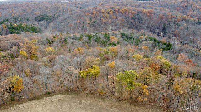 Tract 6 Polston Ln, Marthasville, MO 63357