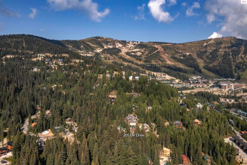 205 Ullr Drive, Sandpoint, ID 83864 photo 6