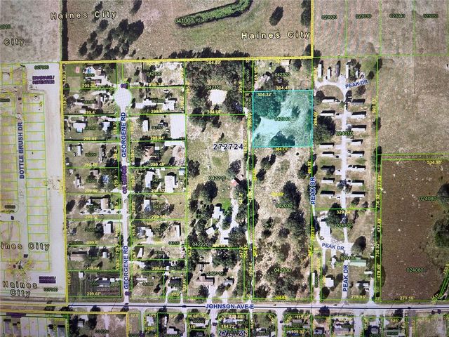 PEAK DRIVE, Haines City, FL 33844