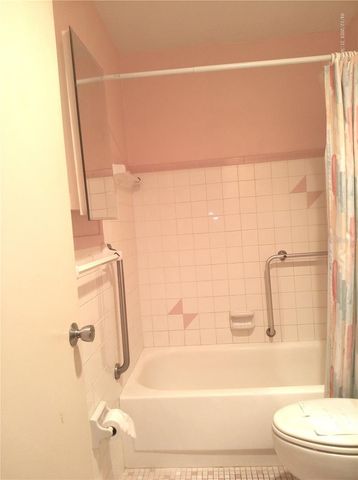 2462 BRAZILIA DRIVE 44, Clearwater, FL 33763